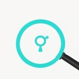 Risk Discovery Icon